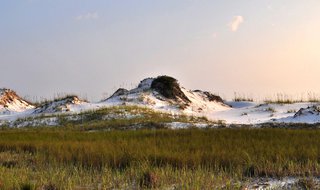Grayton Beach State Park
